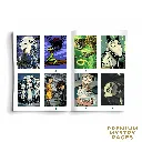 pACK OF 6 (18).webp